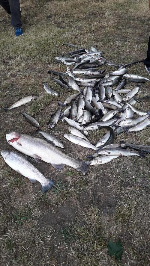 Journée pêche à Châtillon sur Marne