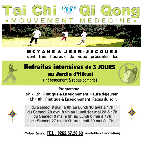 stage TAI CHI ET QI GONG