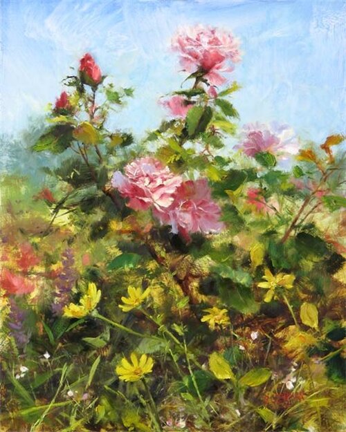 Jardins de Roses Par Bill Imnan