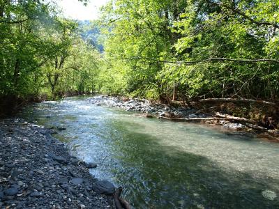 L'ARLY ET SES CELEBRES GORGES