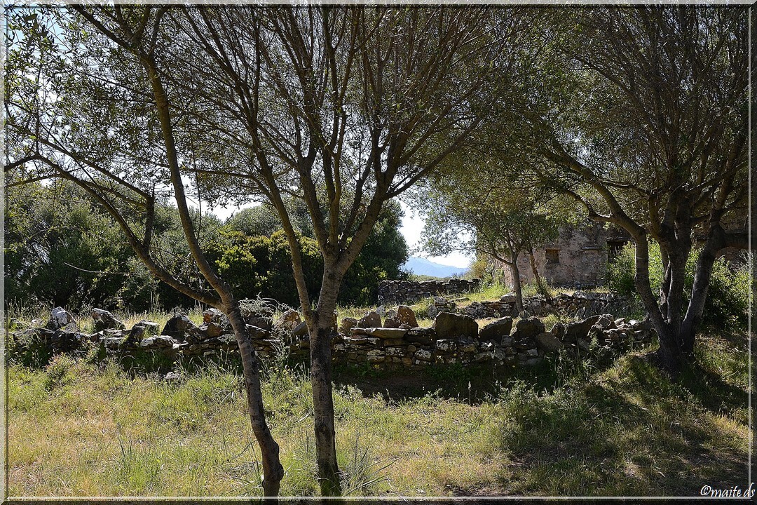 Aire de battage sur le sentier de l'Ostriconi - Corse 16-05-2014