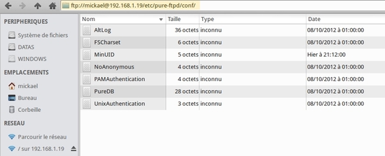 Mise en place d'un serveur FTP avec Pure-FTPd