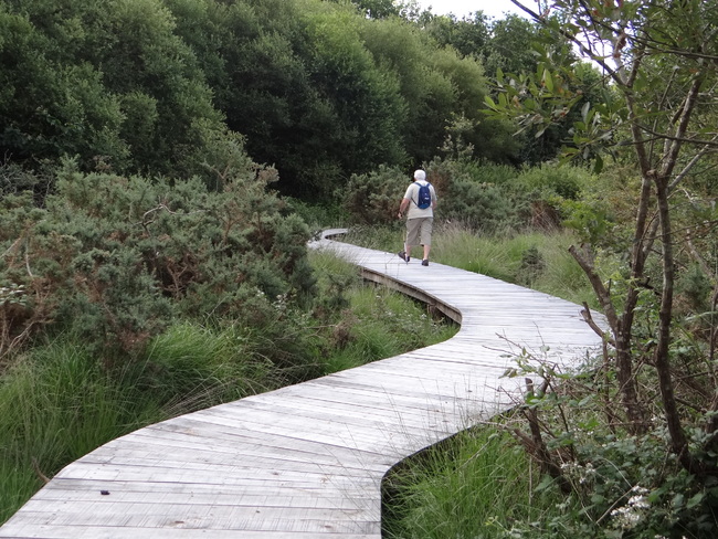 Ste Helene - Morbihan