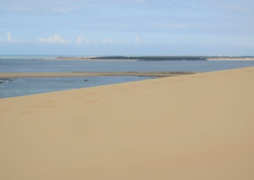 Circuit pédestre de la Dune du Pilat 