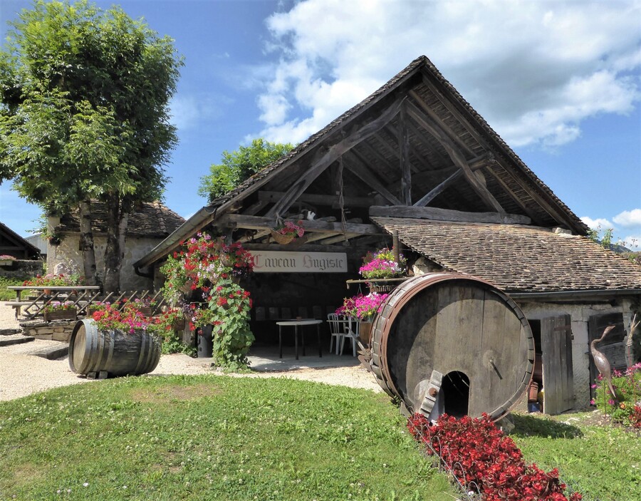 Le petit village viticole de VONGNES ( N°2)