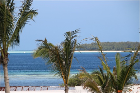 Matemwe, (Muyuni) à Zanzibar. 2023.