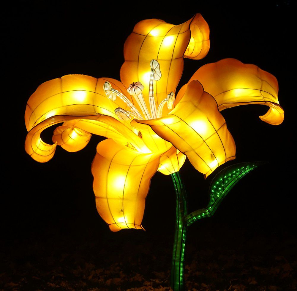 Les lumières légendaires à Bordeaux - fleurs et autres...