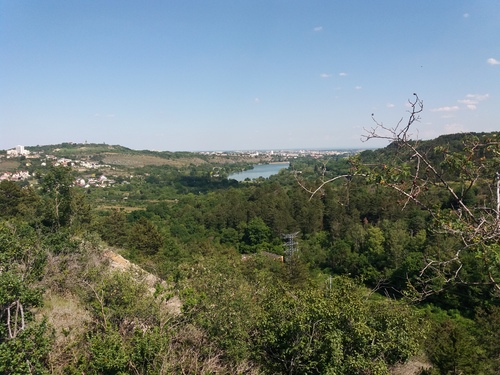 "Autour du Plateau de La Cras" - Mercredi 24 juin 2020