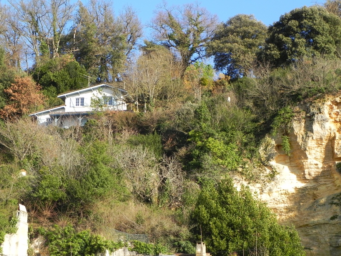mes photos de ce matin en Nord Gironde