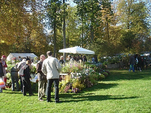 Journée des plantes - Courson - 2011 003