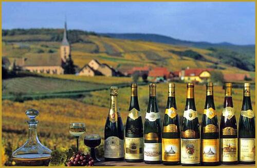 ALSACE, SUR LA ROUTE DES VINS