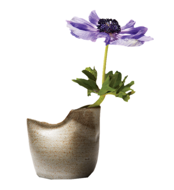 Fleurs  dans vase  / 1