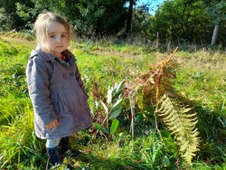 Maternelle : faire classe dehors