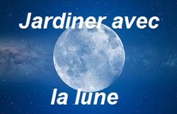 Jardiner avec la Lune