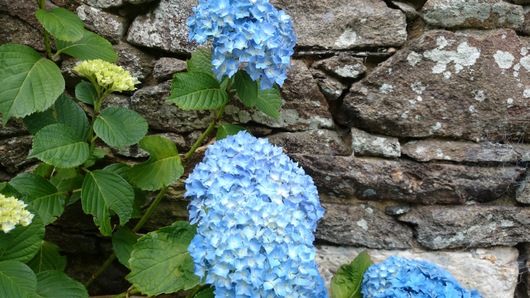 Couleurs de Bretagne