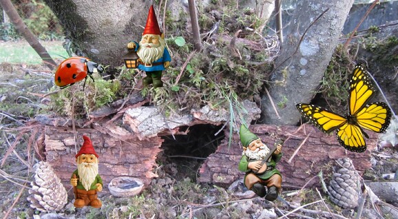 Les Gnomes