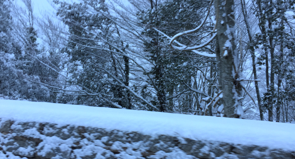 Galère blanche.......