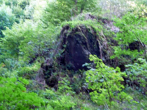 Vézelay - Le Puy en Velay 2010  - Anost - La Rochemillay (40km)