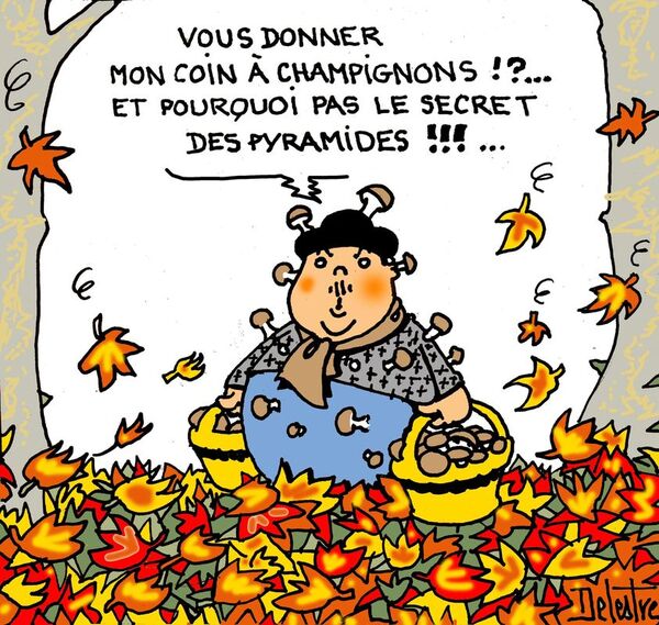 Cette fois c'est bien l'automne !