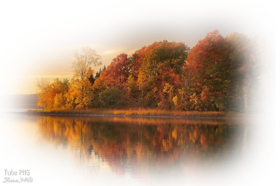Tube paysage d'automne