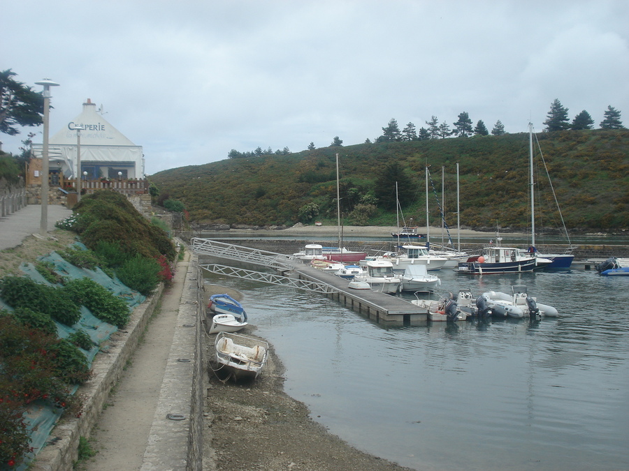 BELLE ILE EN MER  MAI    2015    (2)