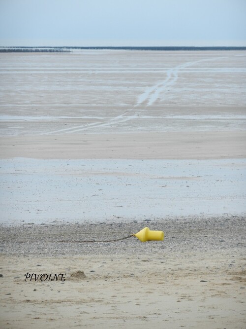 VIVE LA PLAGE DE NORMANDIE...