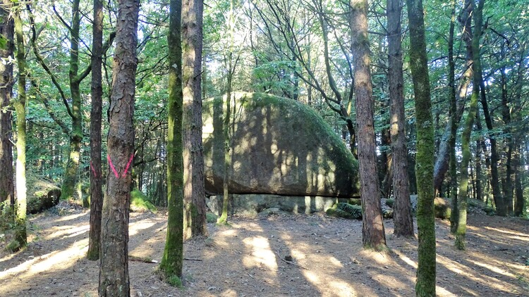 Les Landes de Lanvaux : Le mastodonte