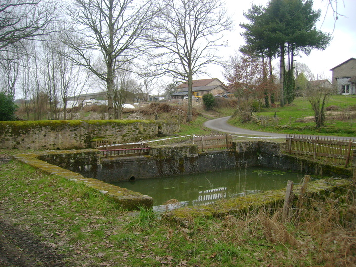 RANDONNEE A COGNAC LA FORET . 