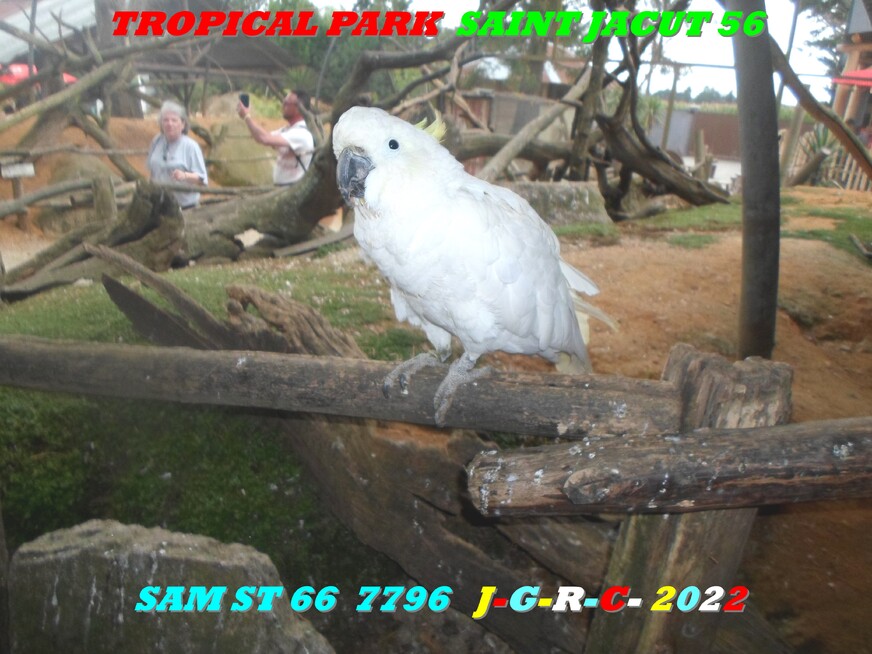 TROPICAL PARK  SAINT JACUT 56 5/10  D  28-02-2023