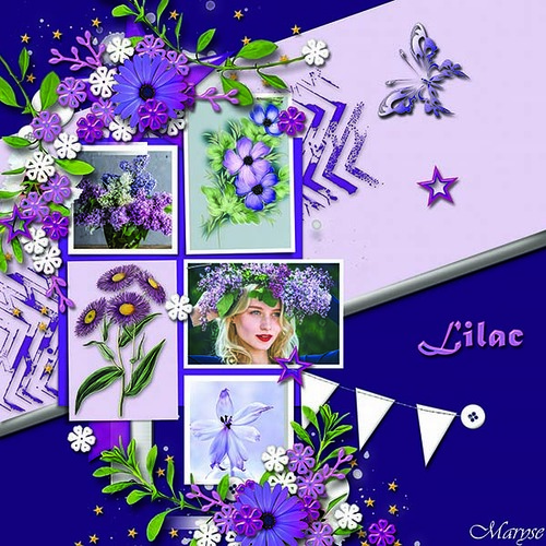 Lilac by Malo