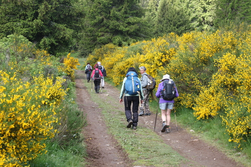 10.06.2024..Randonnée le Puy de Baladou.18 kms 500