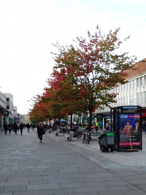 Balade dans le centre ville de Southampton