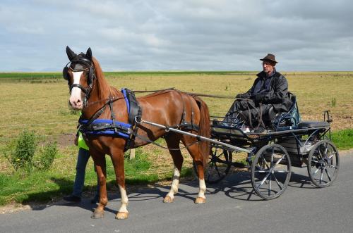 15 Juillet - Témoignage - La seconde 1/2 étape - Quiberville => Veules