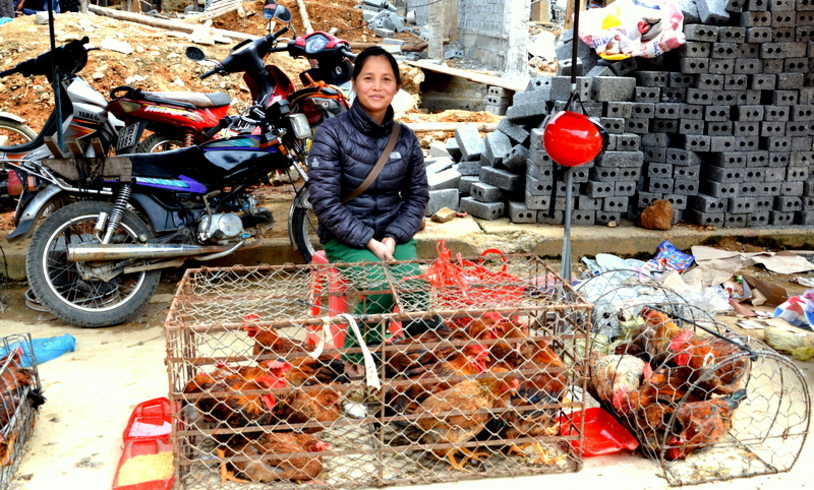 Scènes de marché....