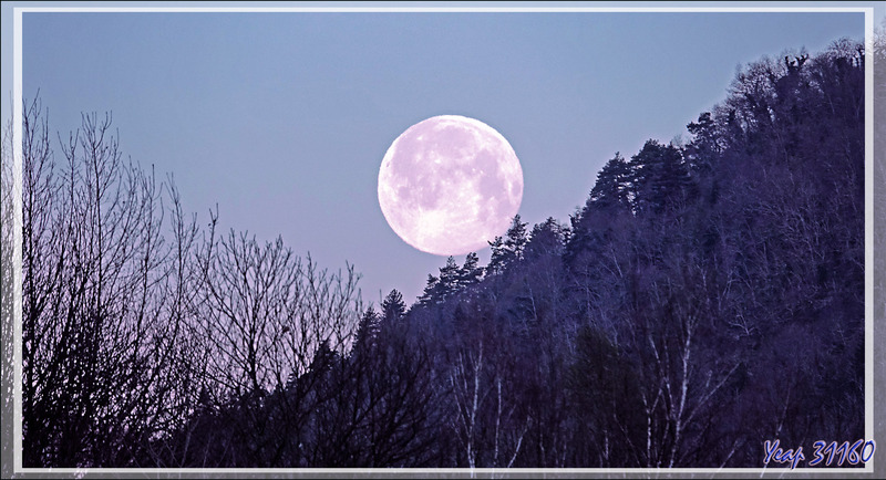 Coucher de pleine Lune au lever du jour - Vu de Lartigau - Milhas - 31