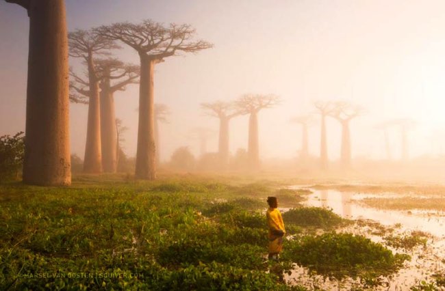 national geographic plus belle photos 2015 3 - 20 Photos Préférées du National Geographic sur Internet en 2015 national geographic plus belle photos 2015 3 - 20 Photos Préférées du National Geographic sur Internet en 2015