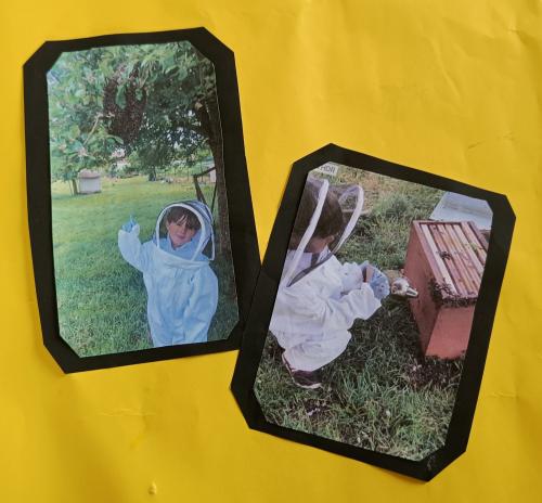 les abeilles