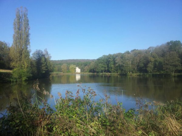 En forêt mercredi-dimanche