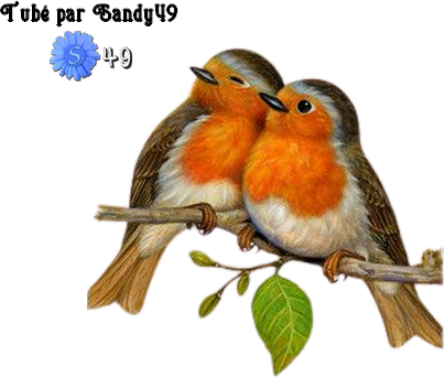 Mes tubes Animaux.. Oiseaux