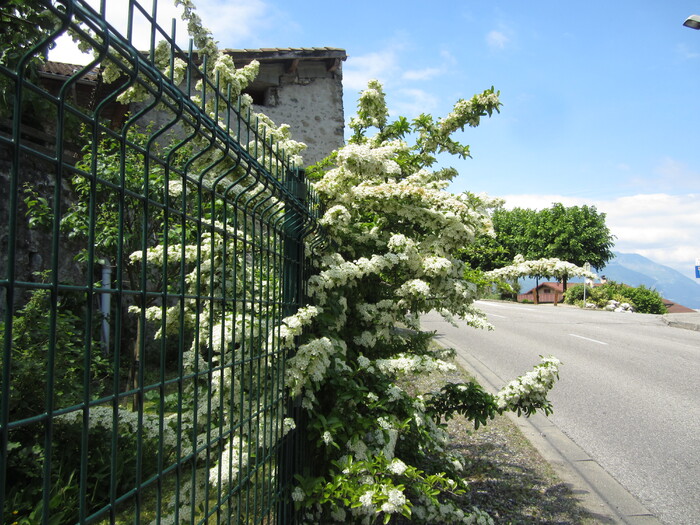 Bresson et son château.