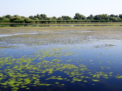 Le beau Delta du Danube en Roumanie (photos)