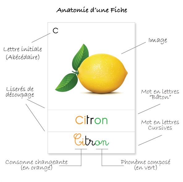 Cartes De Nomenclature Montessori Chouette Y A Plus Ecole