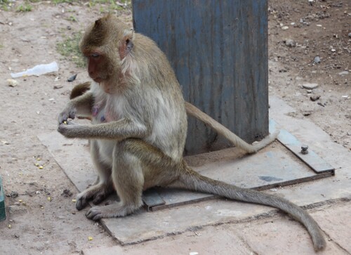 Lopburi