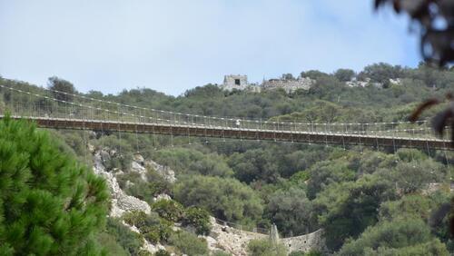Le pont suspendu de Windsor vu depuis le jardin botaniqueà à Gibraltar
