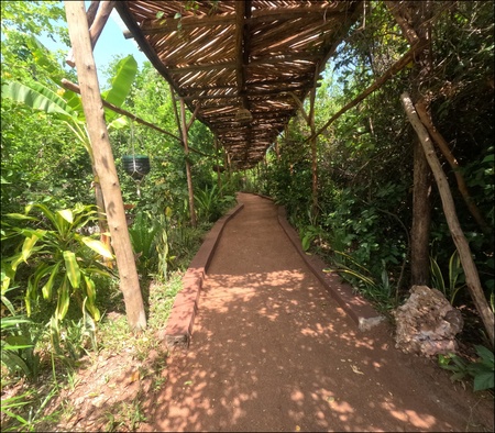 Maaluma Cave, Zanzibar, octobre 2023