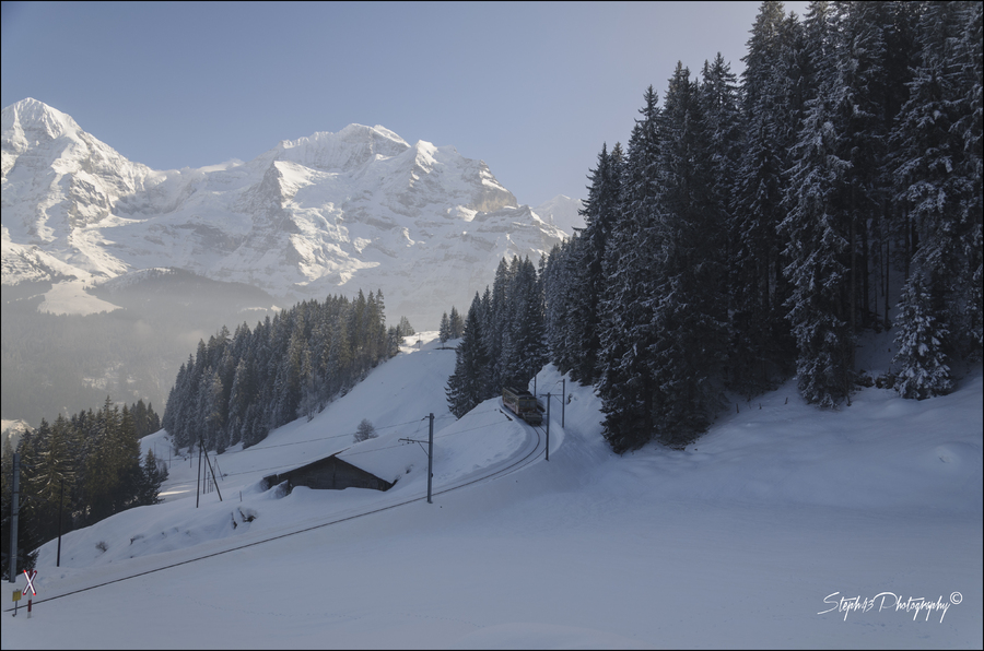 Grütschalp / Allmendhubel /  Mürren