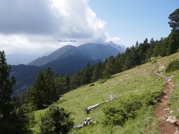 Sur le GR vers le coll de Pendis