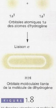 Liaison moléculaire: résumé, exemple du dihydrogène