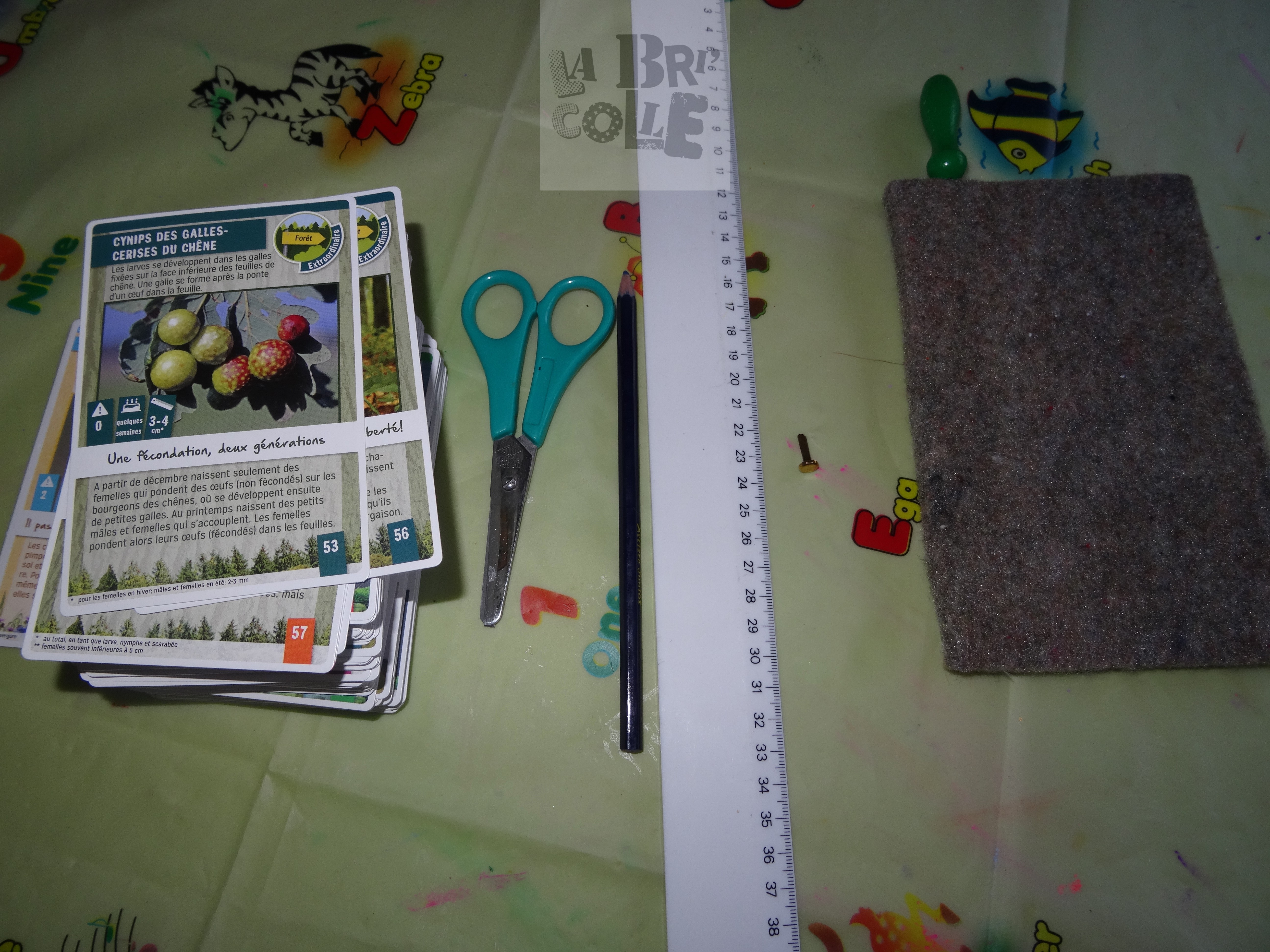 Cartes Coop Ou Migros Partie I Nounou La Bricolle