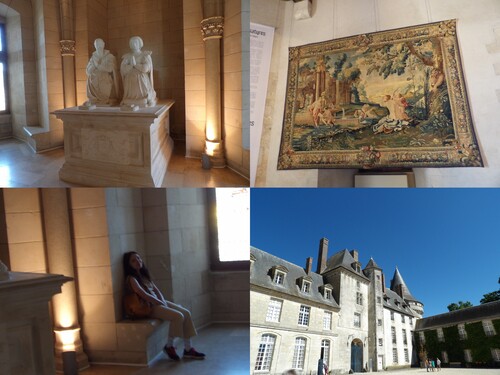 Visite du château de Sully sur Loire